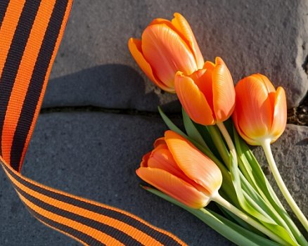 В майские праздники работаем без выходных в обычном режиме